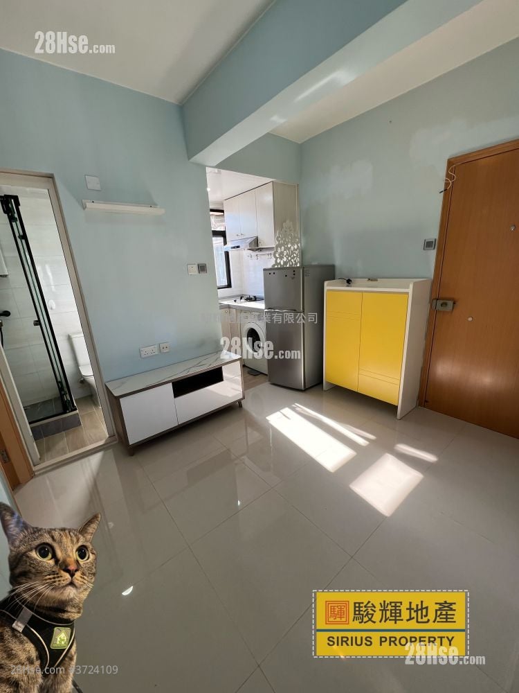 金荔阁 租盘 1 房 , 1 浴室 242 平方尺