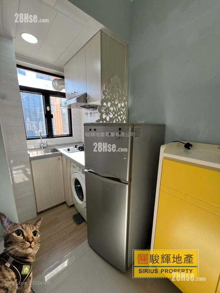 金荔阁 租盘 1 房 , 1 浴室 242 平方尺