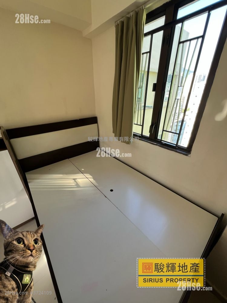 金荔阁 租盘 1 房 , 1 浴室 242 平方尺