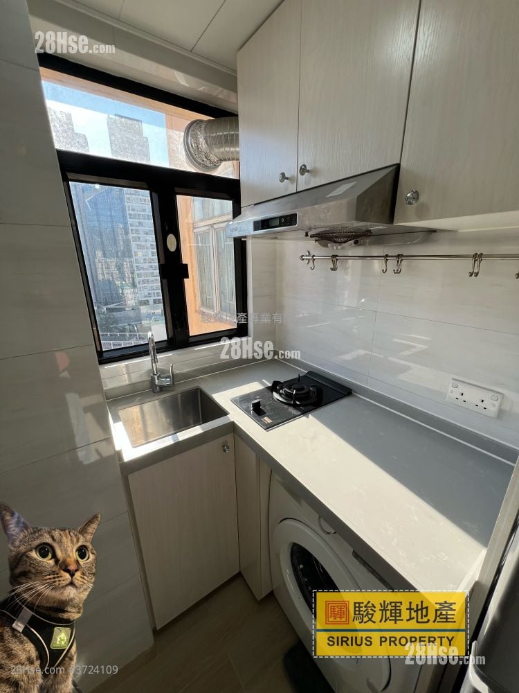 金荔阁 租盘 1 房 , 1 浴室 242 平方尺