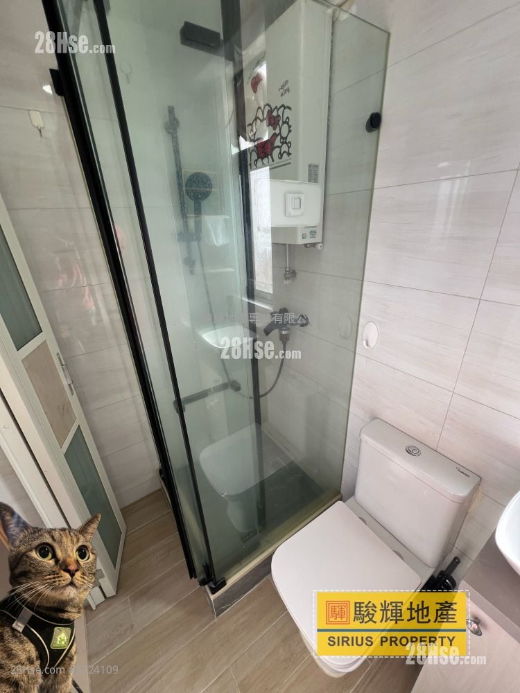 金荔阁 租盘 1 房 , 1 浴室 242 平方尺