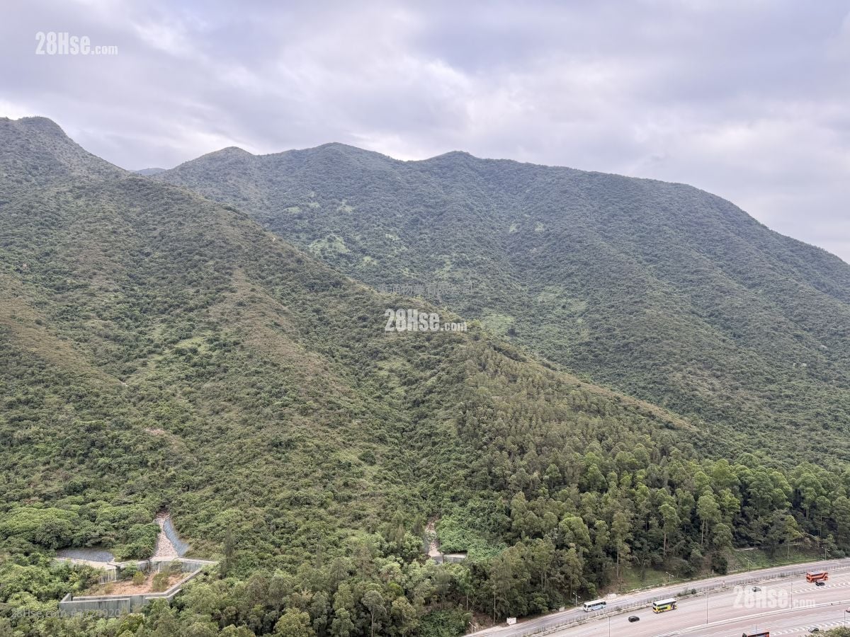 Caribbean Coast Rental 2 Bedrooms , 1 Bathroom 543 ft²