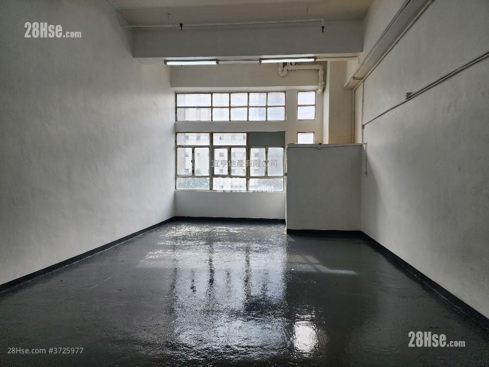 盈力 919建呎 高樓底 $11500