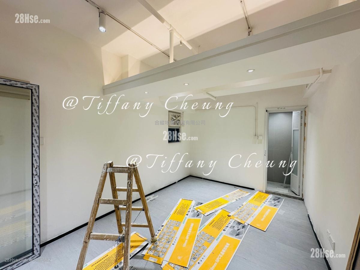 骆驼漆大厦 租盘