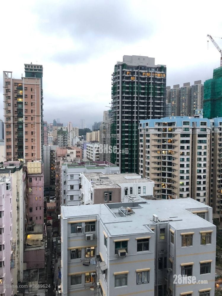 迎丰 售盘 1 房 , 1 浴室 266 平方尺