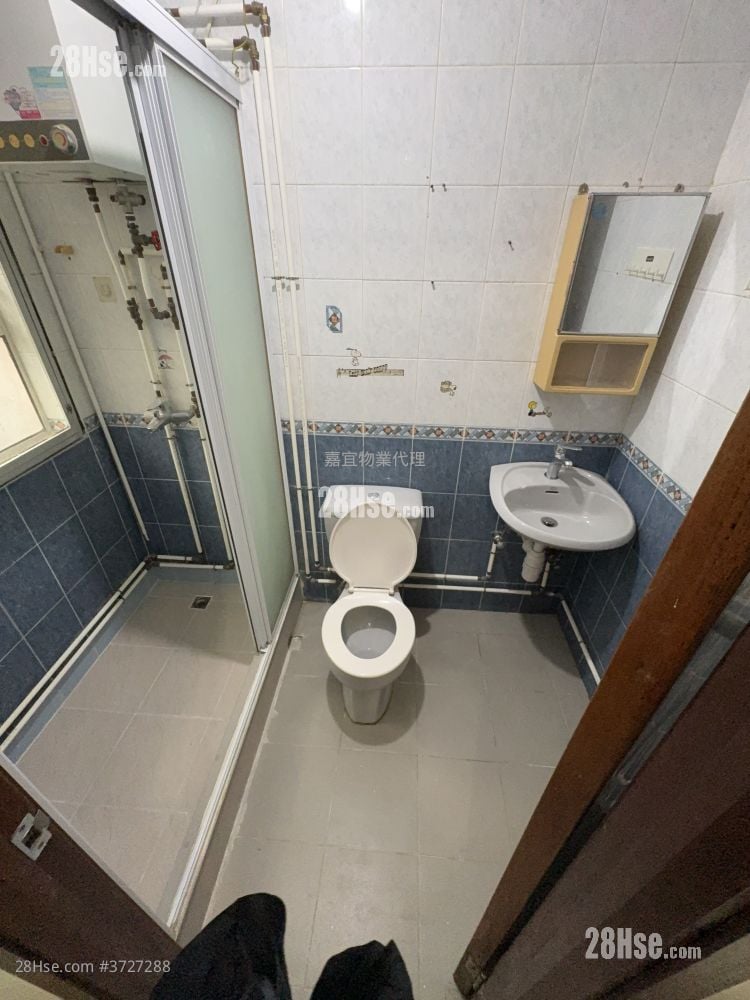 凤园 租盘 1 房 , 1 浴室 350 平方尺