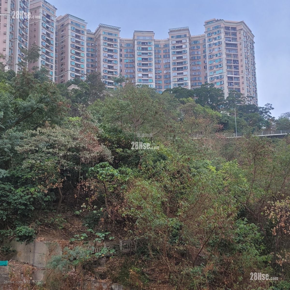 百福花园 售盘 2 房 , 1 浴室 545 平方尺