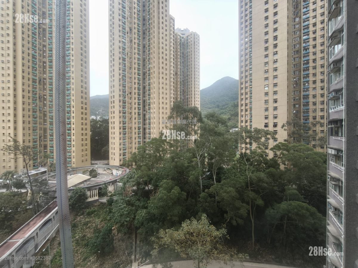 广林苑 租盘 2 房 , 1 浴室 441 平方尺