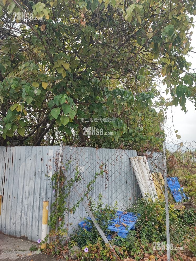 土地 售盘 5,227 平方尺