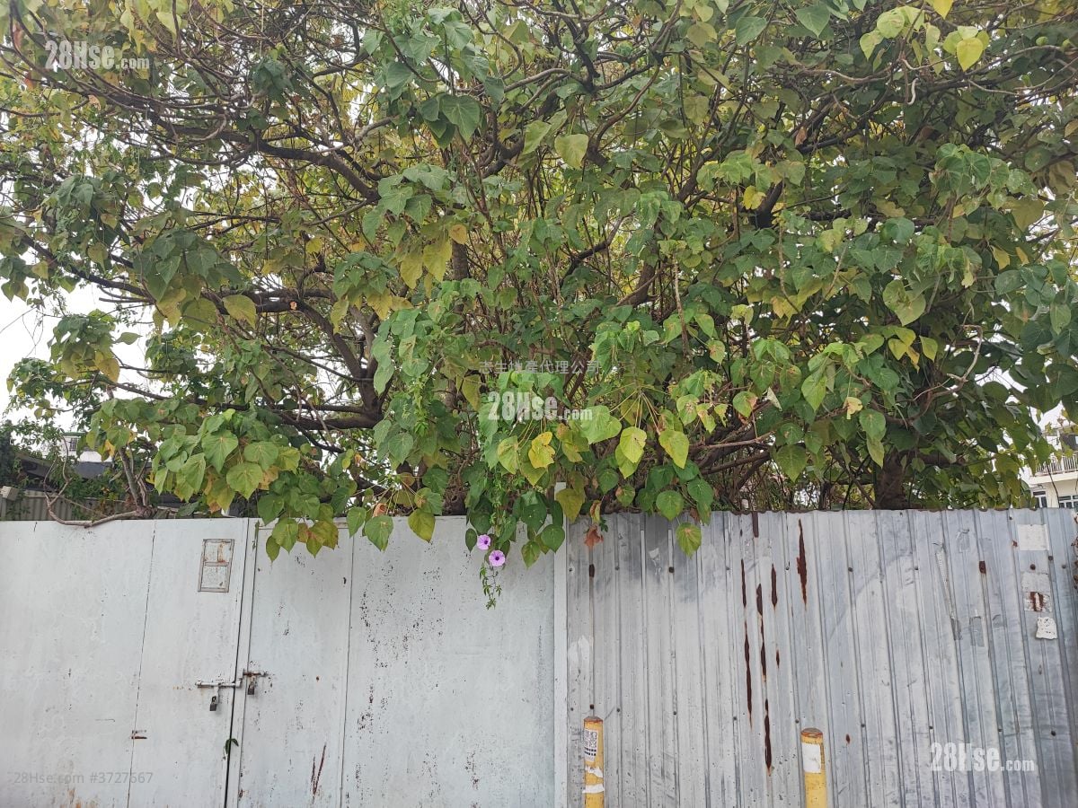 土地 售盘 5,227 平方尺