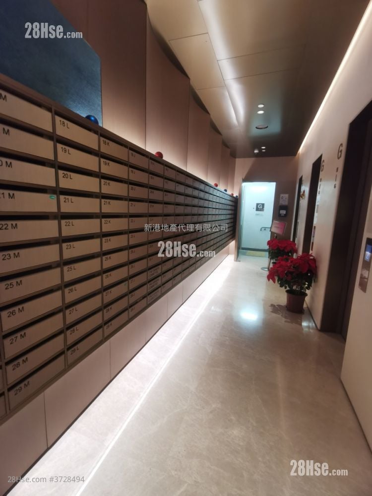 必嘉坊迎汇 租盘 1 房 , 1 浴室 270 平方尺