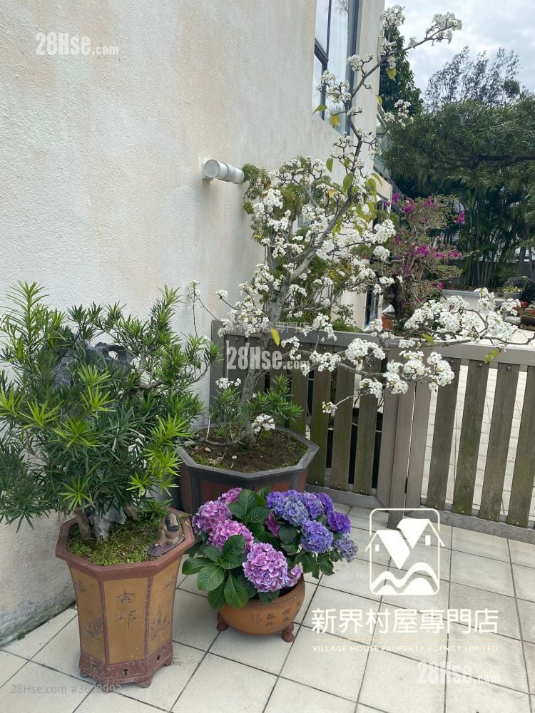 Village Sell 5+ Bedrooms , 5+ Bathrooms 2,100 ft²