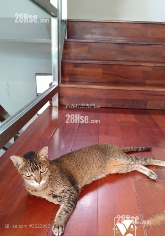 Village Sell 5+ Bedrooms , 5+ Bathrooms 2,100 ft²