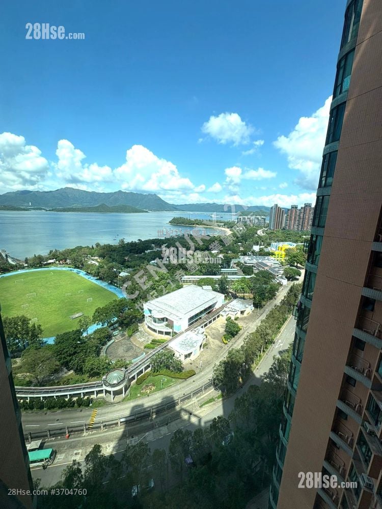 Jimmy豆生 63460809