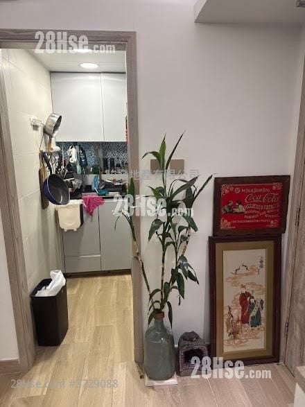 Paradise Square Sell 1 Bedroom 368 ft²