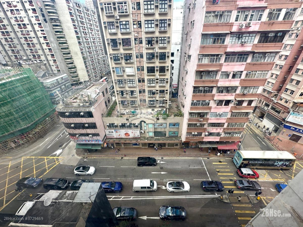 金辉行 租盘 开放式间隔