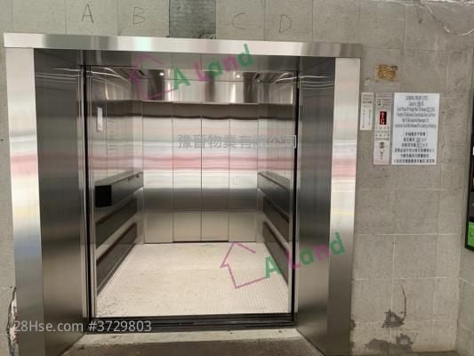 Tung Kin Factory Building Rental