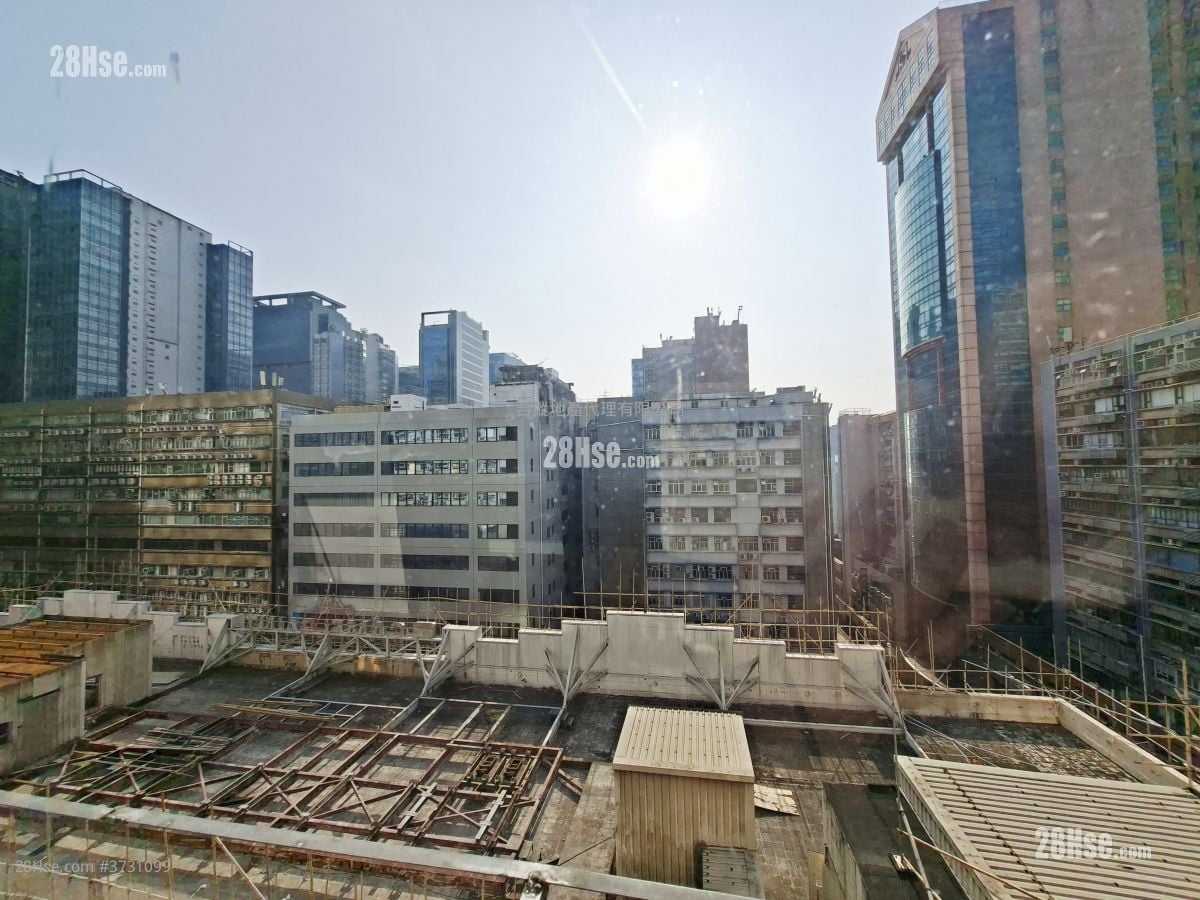 骆驼漆大厦 租盘 5+ 房 , 5+ 厕所