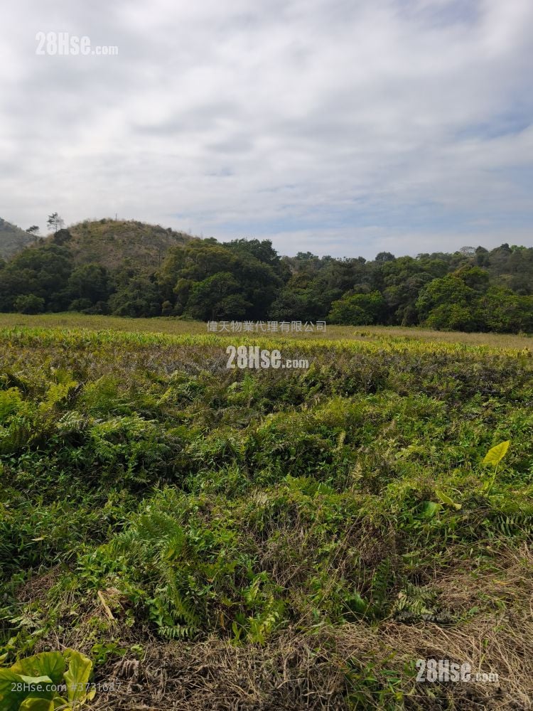 土地 售盘 28,000 平方尺