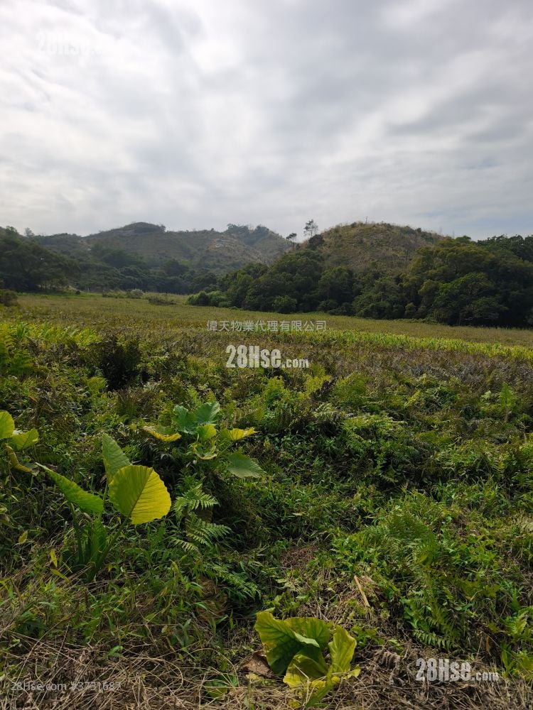 土地 售盘 28,000 平方尺
