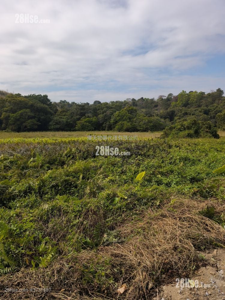 土地 售盘 28,000 平方尺