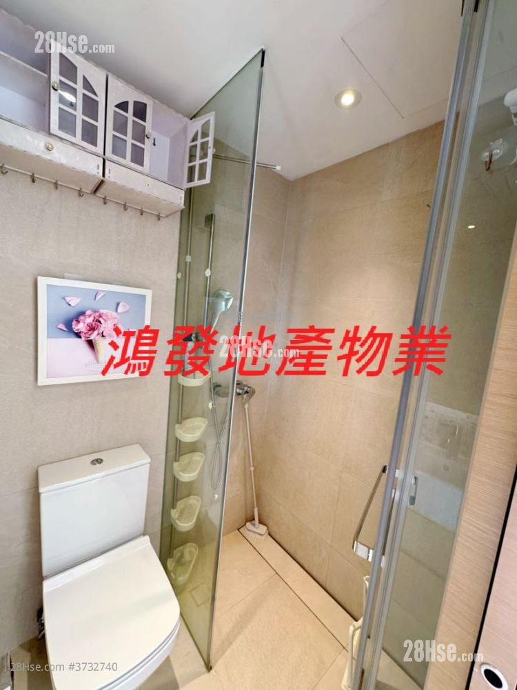 Novi Sell Studio , 1 Bathroom 182 ft²