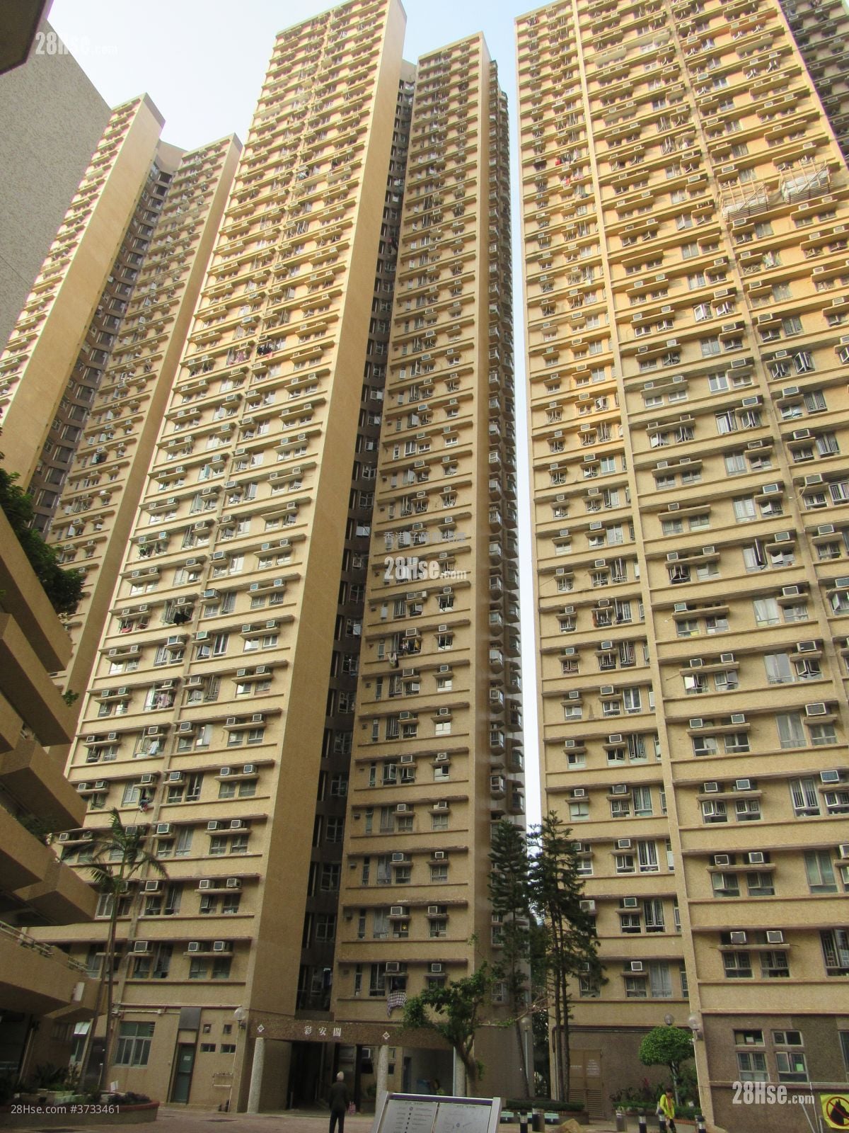 渔安苑 售盘 2 房 493 平方尺