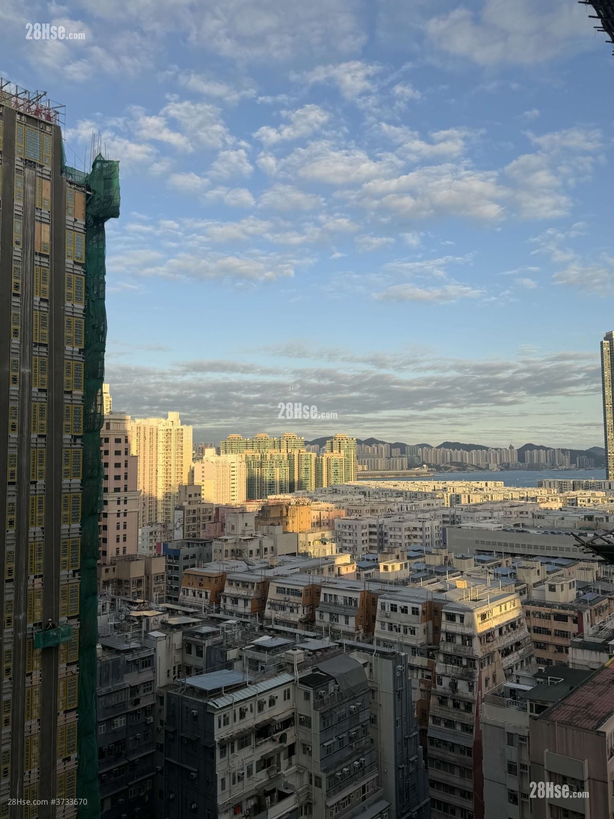 The Haddon 租盘 1 房 , 1 浴室 266 平方尺