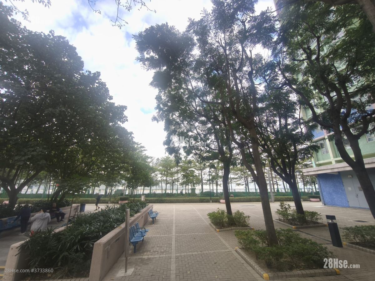 锦丰苑 售盘 2 房 , 1 浴室 536 平方尺