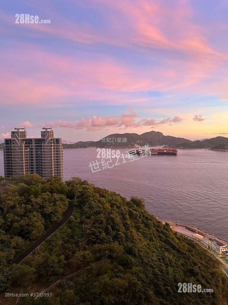 海怡半岛 租盘 3 房 743 平方尺