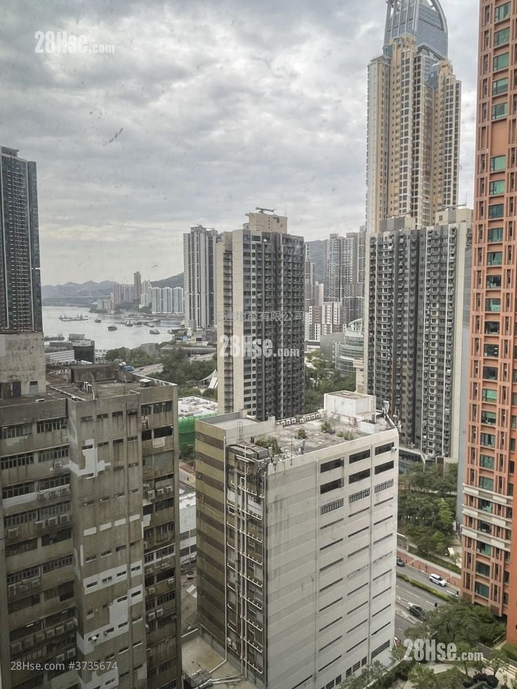 Dan6 Rental 1 Toilet 535 ft²