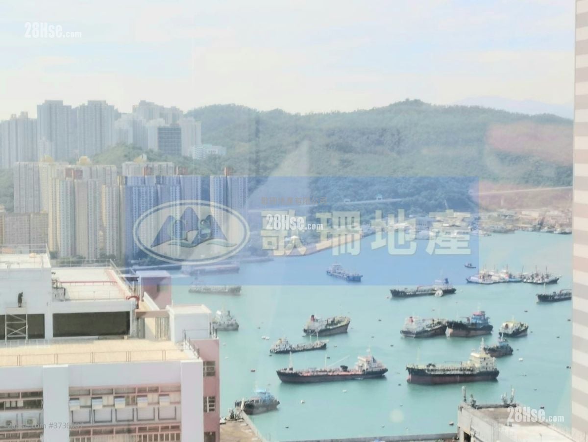 King Palace Plaza Rental