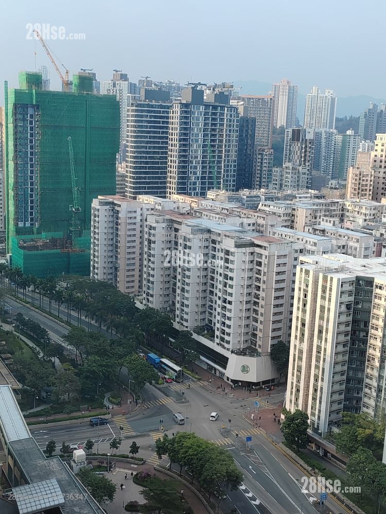 海滨南岸 租盘 2 房 , 1 浴室 481 平方尺