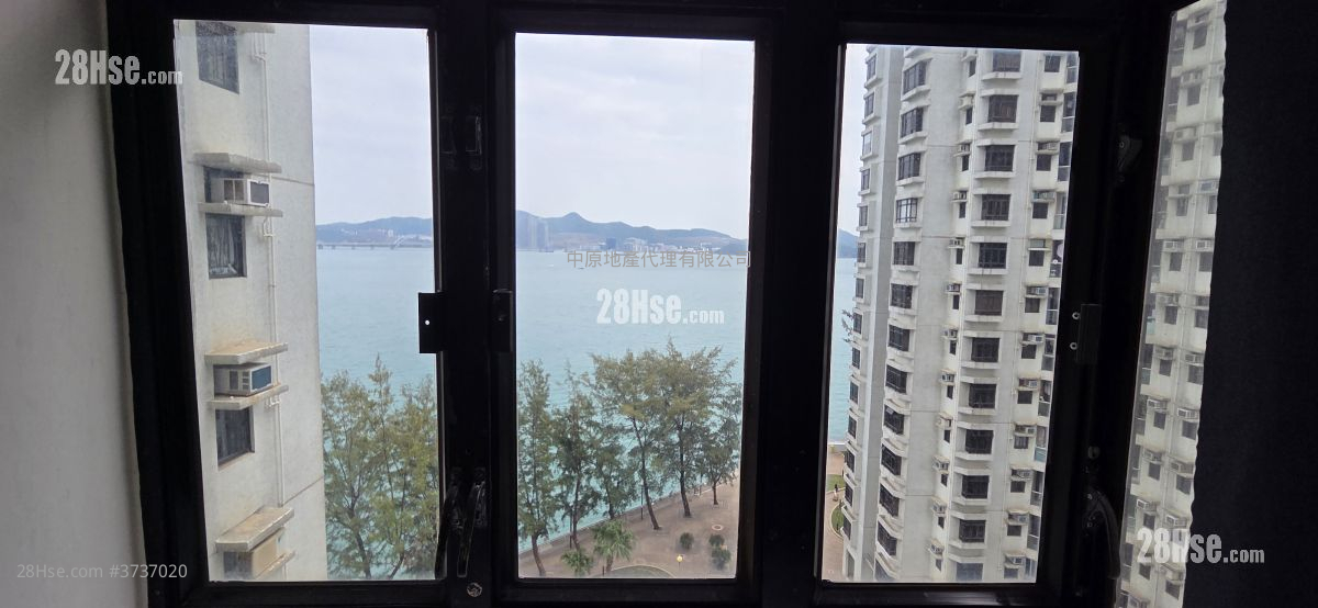 杏花邨 售盤 3 房 643 平方呎