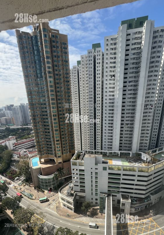 新麗花園 售盤 1 浴室 386 平方呎