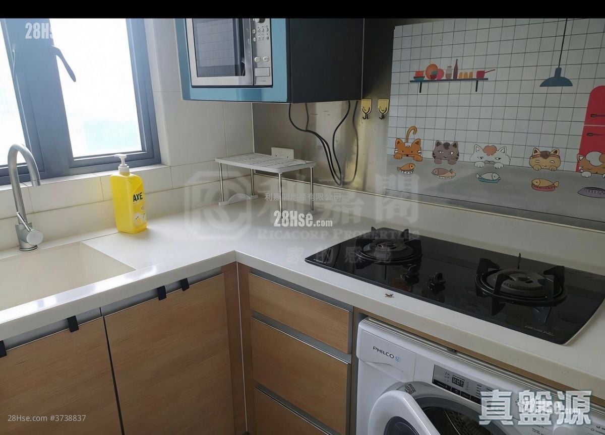 立坊 售盤 1 房 , 1 浴室 293 平方呎