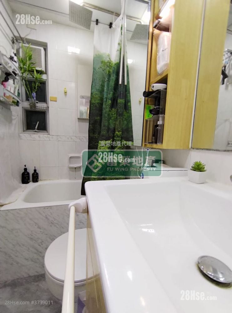 福苑 售盘 268 平方尺