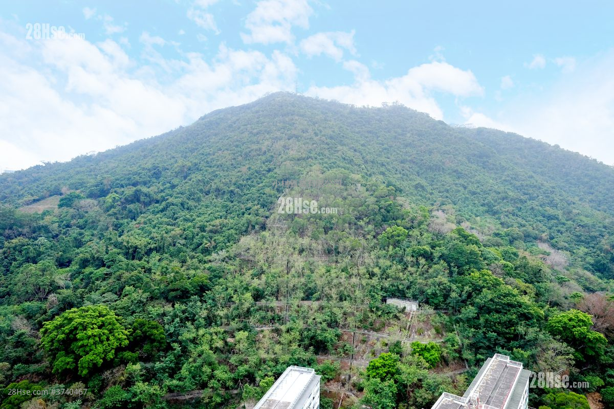 景觀: 百年大樓 租盤 2 房 , 1 浴室 416 平方呎