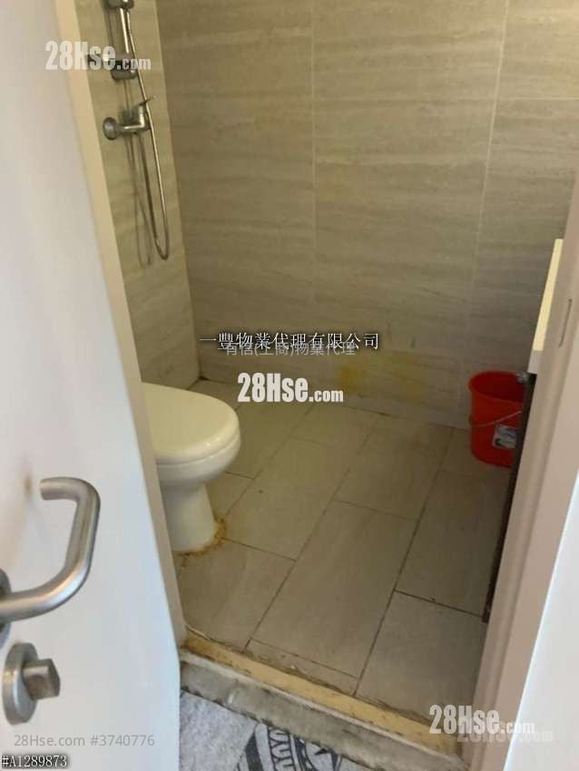 The Star Sell 1 Toilet