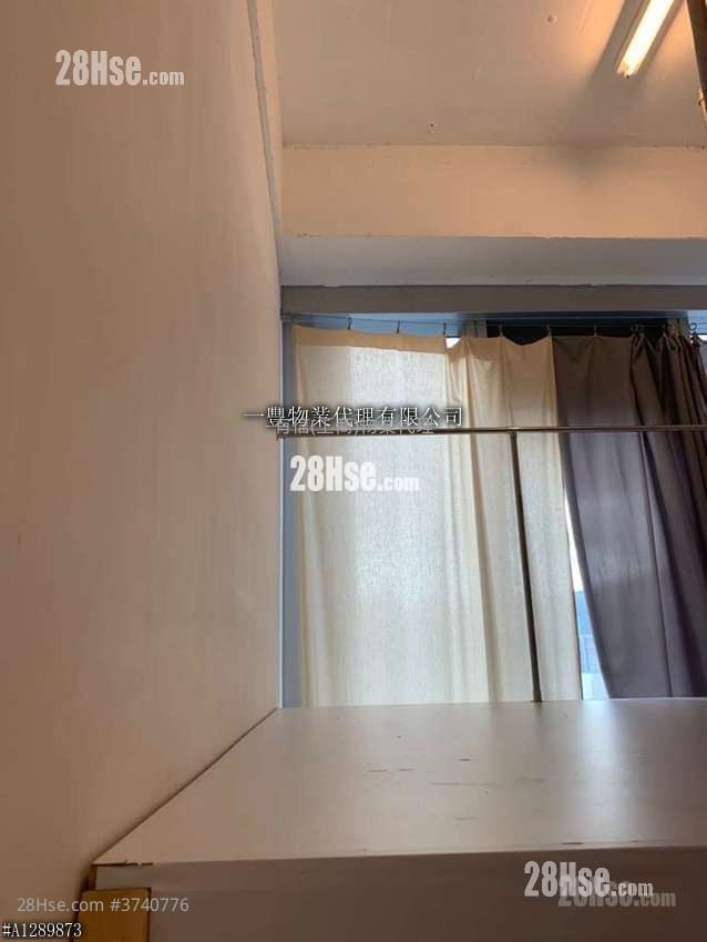 The Star Sell 1 Toilet