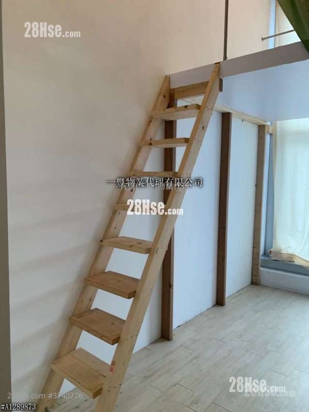 The Star Sell 1 Toilet