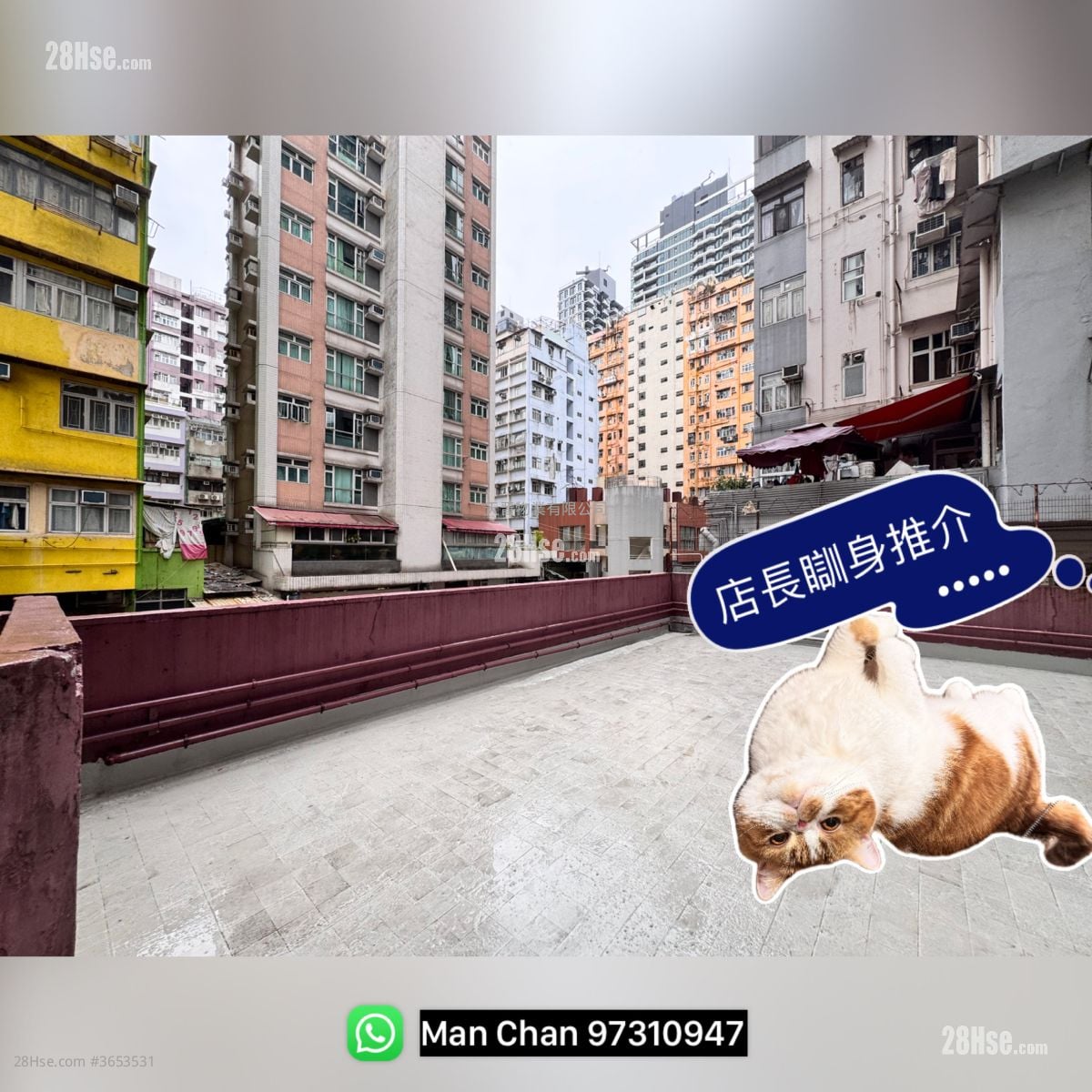 龍華大廈 售盤 2 房 , 1 浴室 307 平方呎