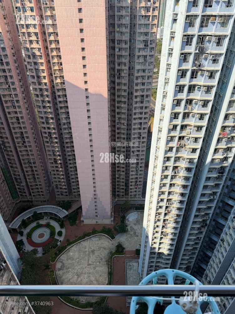 广明苑 售盘 594 平方尺