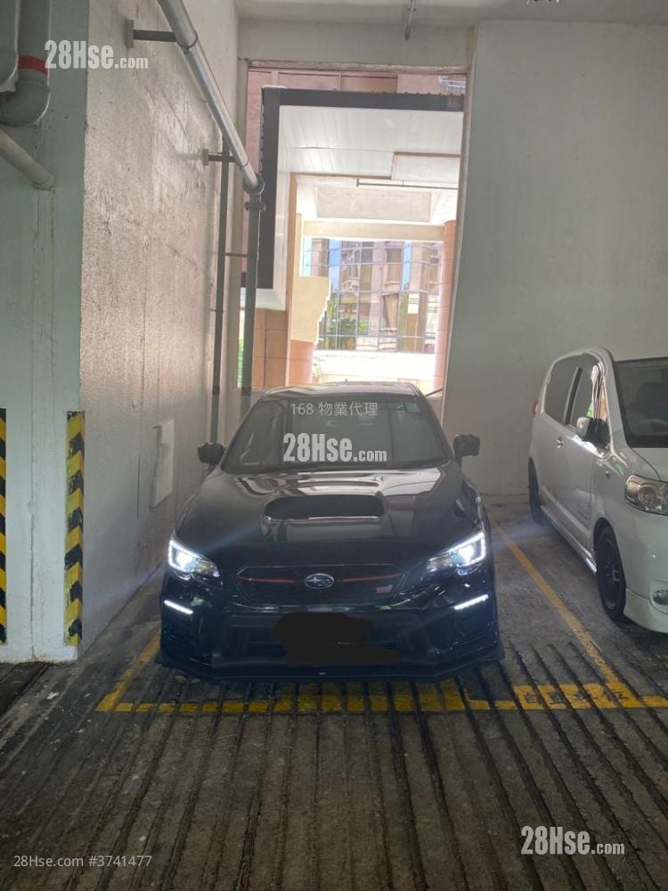 大埔宝马山 租盘