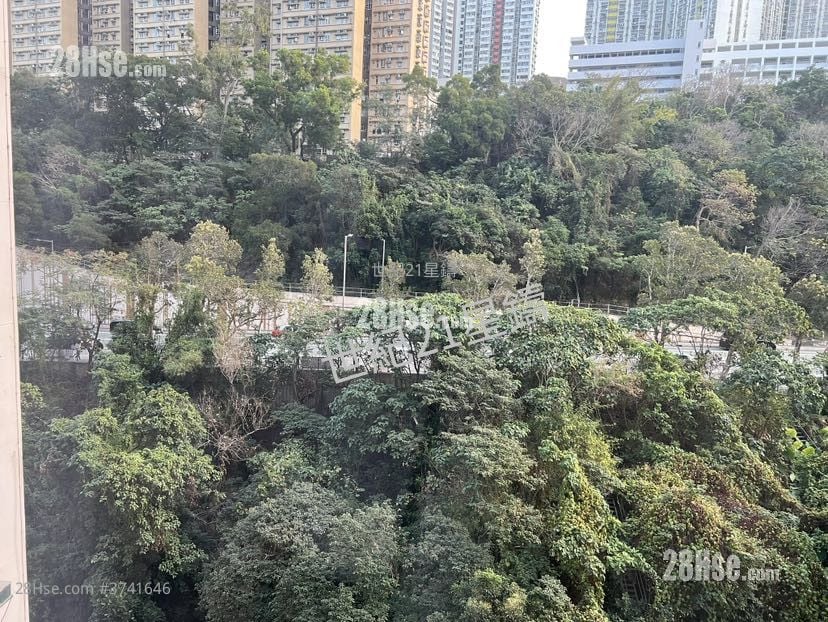 逸南 租盘 1 房 , 1 浴室 242 平方尺