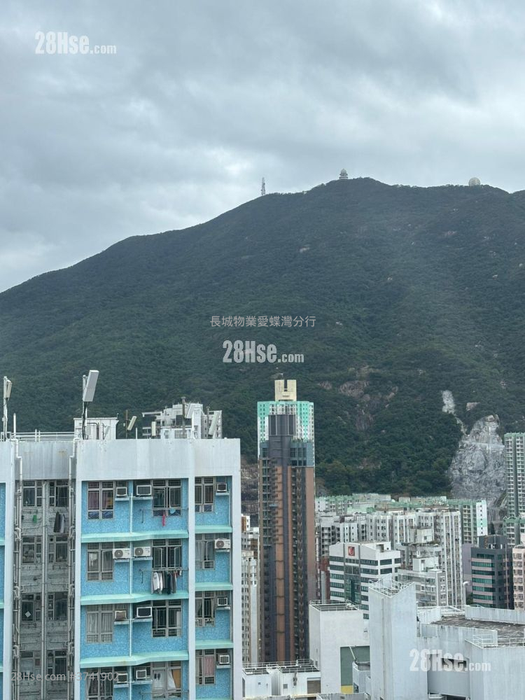 東旭苑 售盤 650 平方呎