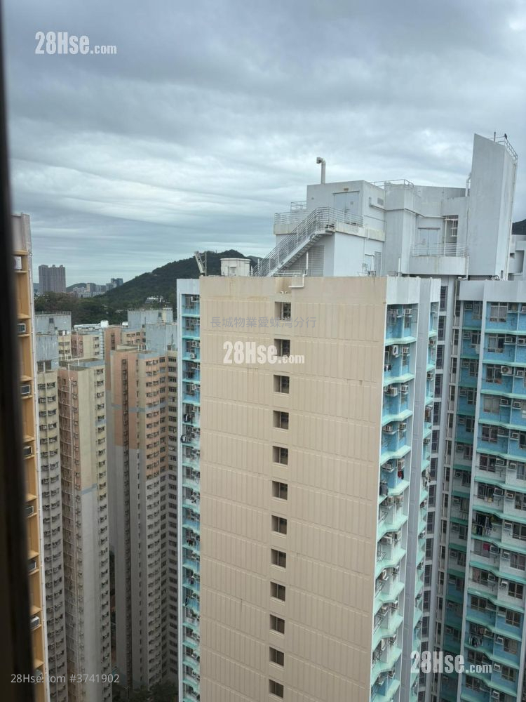 東旭苑 售盤 650 平方呎