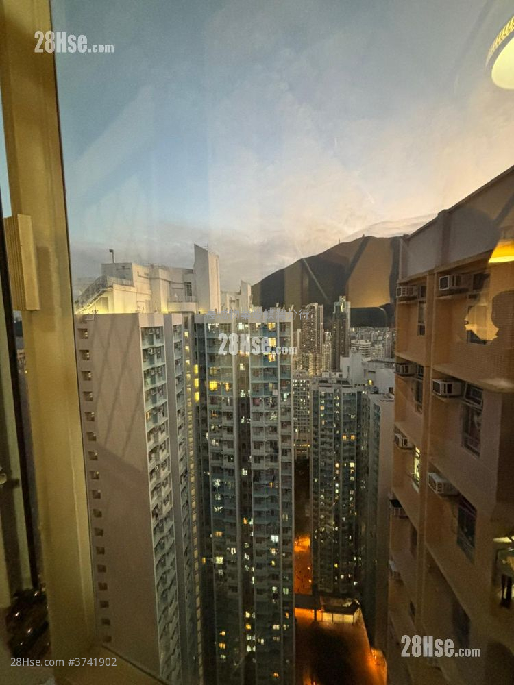 東旭苑 售盤 650 平方呎