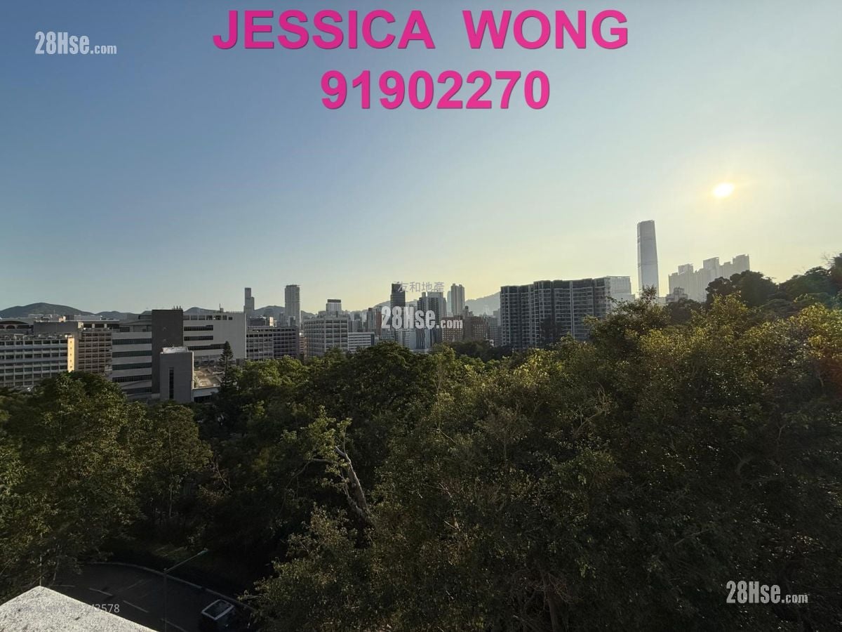 京士柏山 售盘 4 房 , 5+ 浴室 2,207 平方尺