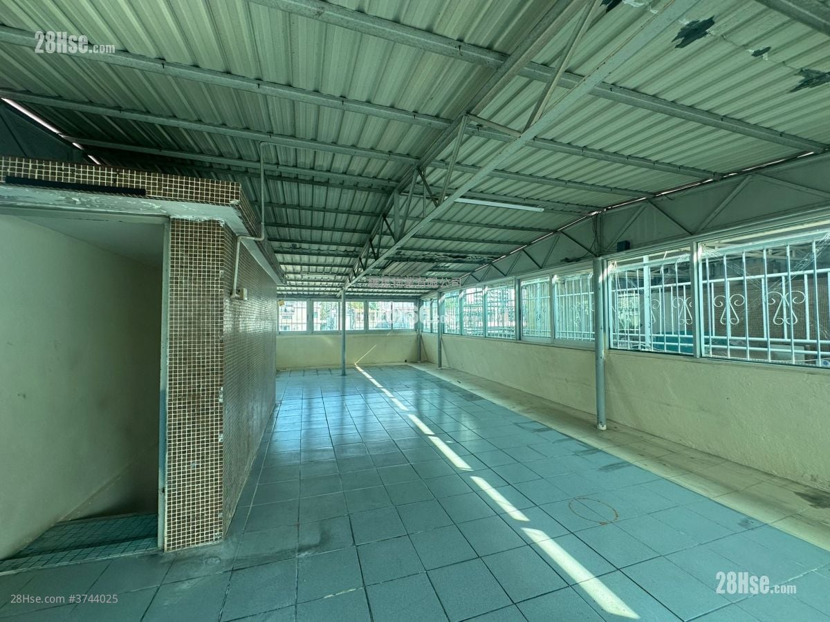 村屋 售盘 3 房 700 平方尺